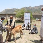 <strong><u>بناء قدرات صغار مربيي الثروة الحيوانية في مجال البيطرة والإنتاج الحيواني في إطار مشروع "تعزيز صمود الأسر الريفية في اليمن" بمحافظة ذمار</u></strong> <strong><u>بناء قدرات صغار مربيي الثروة الحيوانية في مجال البيطرة والإنتاج الحيواني في إطار مشروع "تعزيز صمود الأسر الريفية في اليمن" بمحافظة ذمار</u></strong>